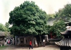 廣州到漢中物流專(zhuān)線，廣州到漢中貨運(yùn)公司