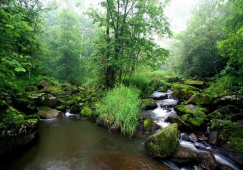 廣州到伊春物流專線，廣州至伊春貨運公司