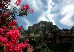 廣州到安陽物流專線，廣州到安陽貨運(yùn)公司