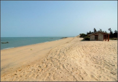 廣州到東方物流專(zhuān)線，廣州到東方貨運(yùn)公司