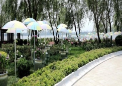 江門(mén)到鐵嶺物流專(zhuān)線|江門(mén)到鐵嶺物流公司|江門(mén)到鐵嶺貨運(yùn)專(zhuān)線