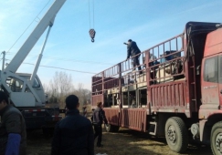 廣州黃埔到常德物流專線-黃埔區(qū)到常德貨運公司